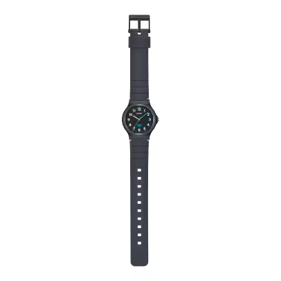 CASIO LQ-24B-1B