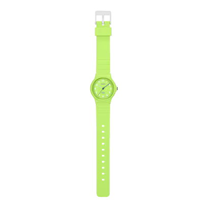 CASIO LQ-24B-3B